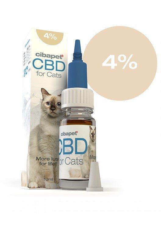 CBD Öl für Katzen 4% - cbdshoponline